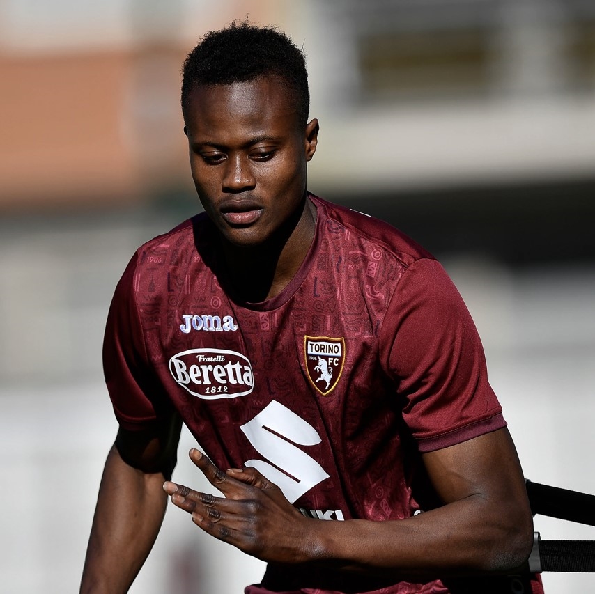 ITALIE :: Hellas Verona - Torino FC : choc de feu en Serie A :: ITALY Hellas Verona - Torino FC : choc de feu en Serie A